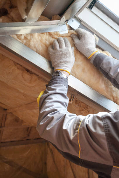 Best Residential Insulation in Mayodan, NC